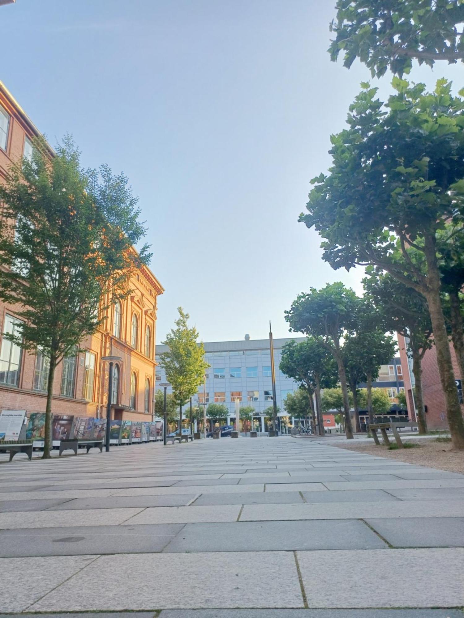 Large Double Room In The Center Of City Randers Exterior photo